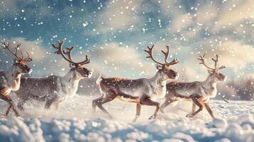 Reindeers running in snowy field under sky photo