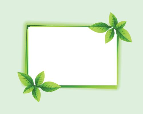 Herbal minimalist frames. Hand painted plants, branches, leaves on a white background. Greenery wedding simple invitation template. Watercolor style card. All elements are isolated and editable