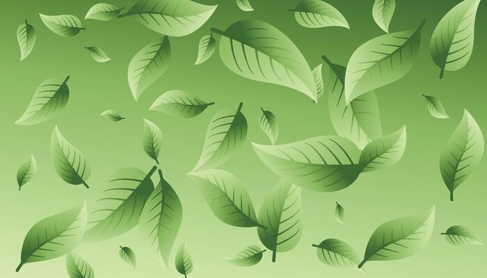 Realistic flying green leaf, blur and focused elements. Nature spring tree, fresh ecology cosmetic background, organic eco forest objects. Spring foliage falling. illustration