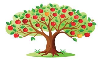 Apple tree outline isolated flat illustration on white background. vector