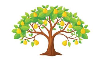 Pear tree outline isolated flat illustration on white background vector