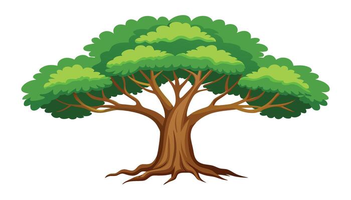 Ashoka tree isolated flat illustration on white background