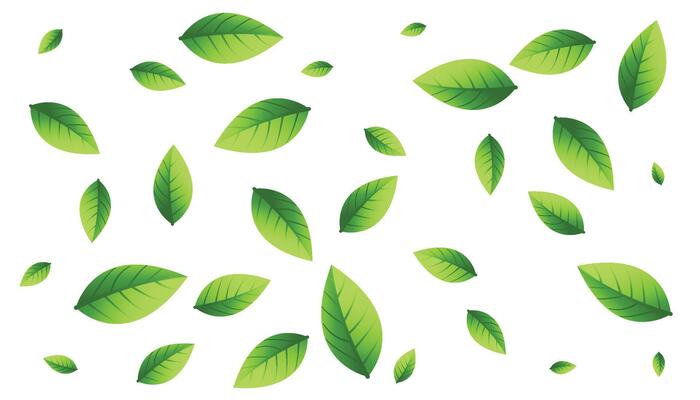 Realistic flying green leaf, blur and focused elements. Nature spring tree, fresh ecology cosmetic background, organic eco forest objects. Spring foliage falling. illustration