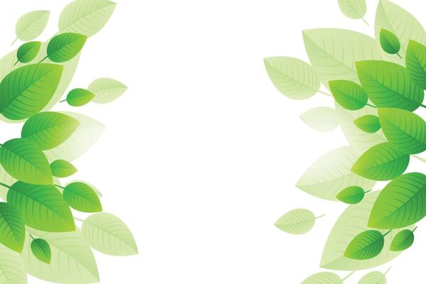 Abstract Geometric modern with Leaf wave Green color background for template, poster, flyer design. illustration