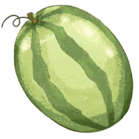 Green Watermelon summer fruit png