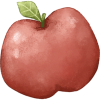 vermelho maçã verão fruta png