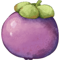 Purple Mangosteen summer fruit png