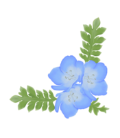 süß Aquarell Nemophila Blumen - - Baby Blau Augen - - herunterladen Blumen png