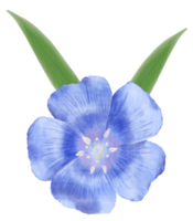 magnifique aquarelle lin fleurs - printemps botanique conception png
