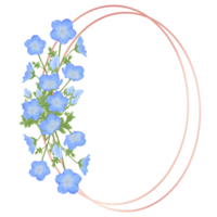 süß Aquarell Nemophila Blumen - - Baby Blau Augen - - herunterladen Blumen png