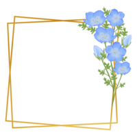 süß Aquarell Nemophila Blumen - - Baby Blau Augen - - herunterladen Blumen png