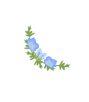 süß Aquarell Nemophila Blumen - - Baby Blau Augen - - herunterladen Blumen png