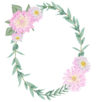 handgemalt Rosa Dahlie blüht - - Sommer- Blume Illustration png