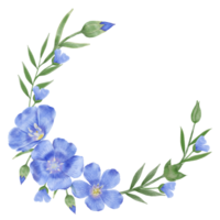 Beautiful Watercolor Flax Flowers - Spring Botanical Design png