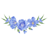 hermosa acuarela linaza flores - primavera botánico diseño png