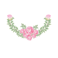 Watercolor camellia flowers and buds png