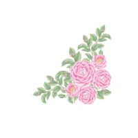 Watercolor camellia flowers and buds png