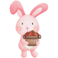 Rabbit and apple watercolor so cute png