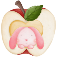 Rabbit and apple watercolor so cute png