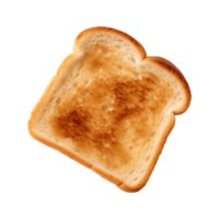 a slice of toast bread isolated on a transparent background, top view png