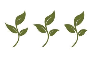 sprout three leaves, organic creative symbol concept. natural biocosmetics, nature vector