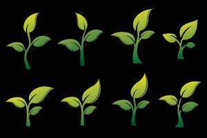 Set of sprouts, twig with three leaves. Organic creative symbol concept, natural biocosmetics, nature vector