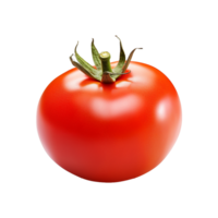 tomate fruit isolé sur transparent Contexte png