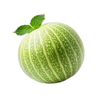 Caseba melon isolated on transparent background png