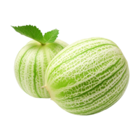 kastei Melone isoliert auf transparent Hintergrund png