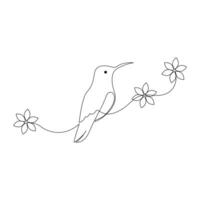 Hummingbird Continuous one line drawing illustration art design vector
