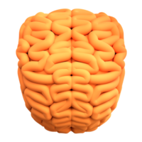 3D illustration education icon brain png