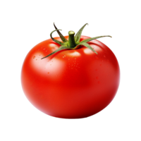 Tomato fruit isolated on transparent background png