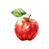 Watercolor painted apple isolated on transparent background png