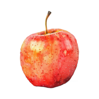 Watercolor painted apple isolated on transparent background png