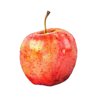 vattenfärg målad äpple isolerat på transparent bakgrund png