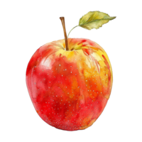 Watercolor painted apple isolated on transparent background png