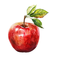 Watercolor painted apple isolated on transparent background png
