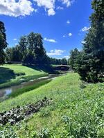 a river runs through a lush green field with trees and grass photo