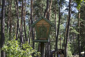 el casa para ardilla en el bosque. foto