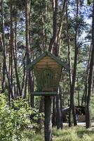 el casa para ardilla en el bosque. foto