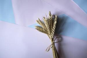 The ears of wheat on bright background. photo
