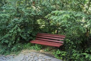 The red wooden bench in the park. photo