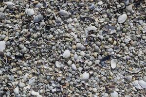 pebbles on the beach photo