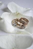 dorado anillos en un blanco pétalos de rosas. foto