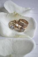 dorado anillos en un blanco pétalos de rosas. foto