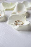 Golden rings on a white petals of roses. photo