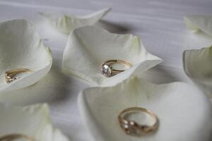 Golden rings on a white petals of roses. photo