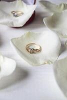 Golden rings on a white petals of roses. photo