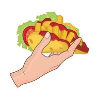 illustration of taco vector