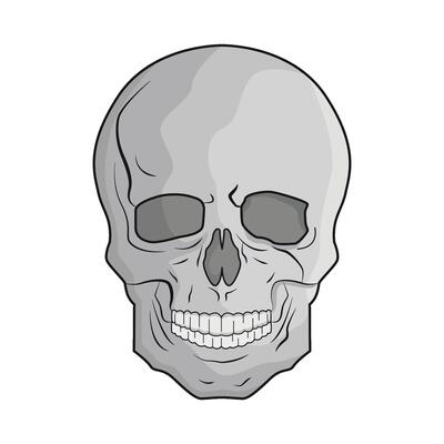 illustration of skull